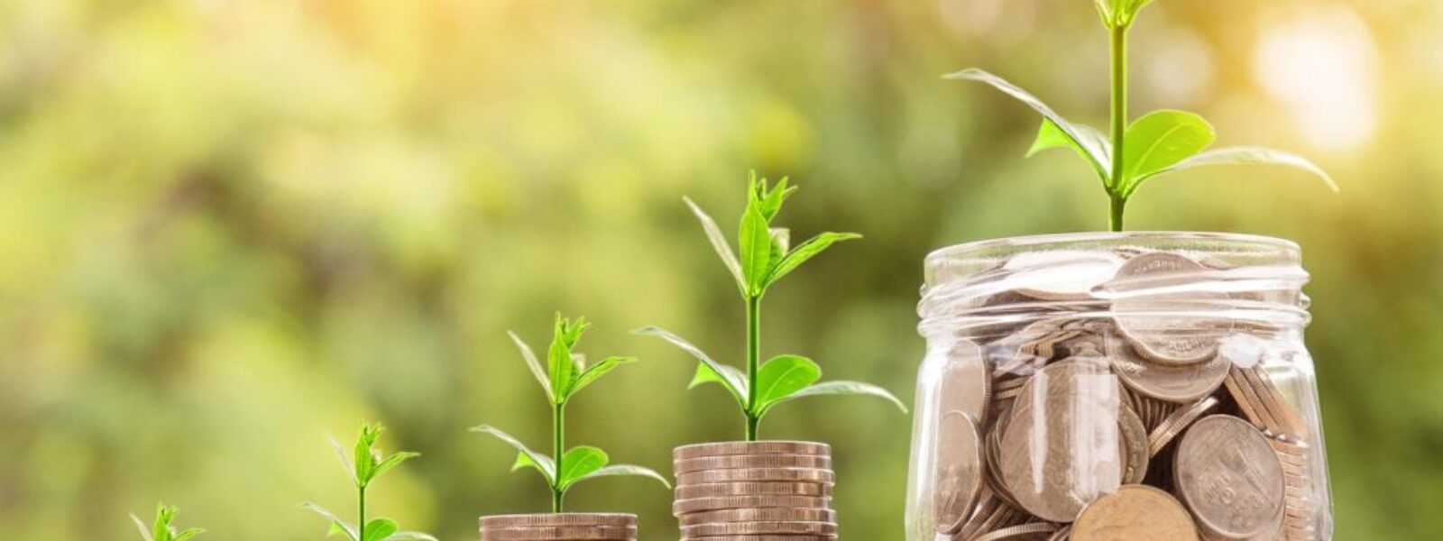 money saving tips — Money Saving Tips & Hacks