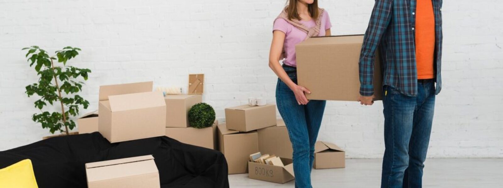 new legislation landlord costs — New Legislation