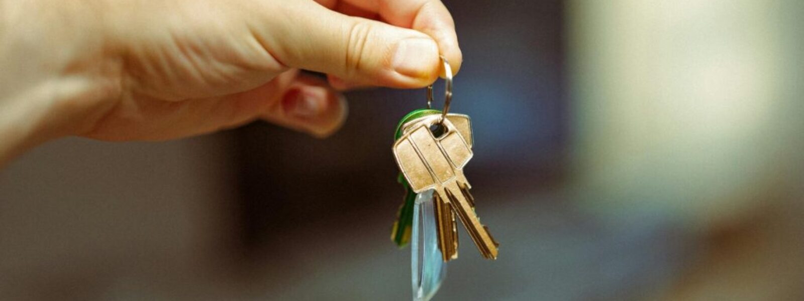 tenant rights legislation — New Legislation
